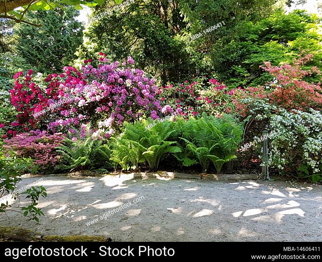 Botanical Garden, Rhododendron Grove, Nymphenburg district, with 21.20 hectares and over 350, 000 visitors a year, it is one of the larger botanical gardens in...