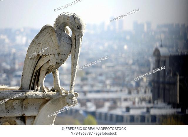 Gargoyle on the top of Notre-Dame de Paris in Paris, France, Europe