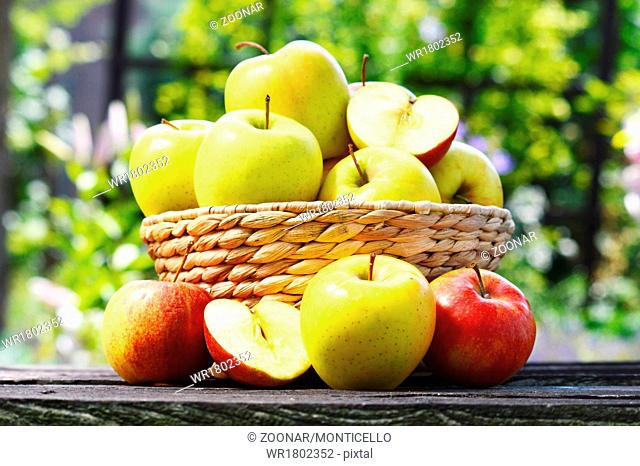 Organic apples in the garden. Balanced diet