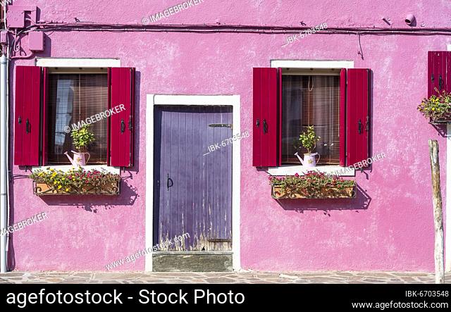 Pink house with windows and floral decorations, colorful facade, morbid, Burano island, Venice, Veneto, Italy, Europe