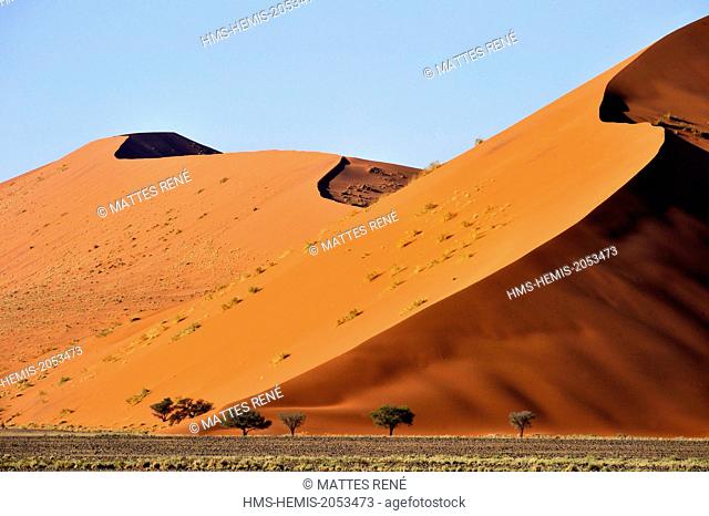 Namibia, Hardap region, Namib desert, Namib-Naukluft national park, Namib Sand Sea listed as World Heritage by UNESCO, Sossusvlei dunes