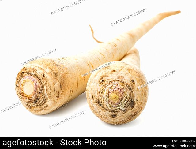 Parsley root close up isolated on a white background